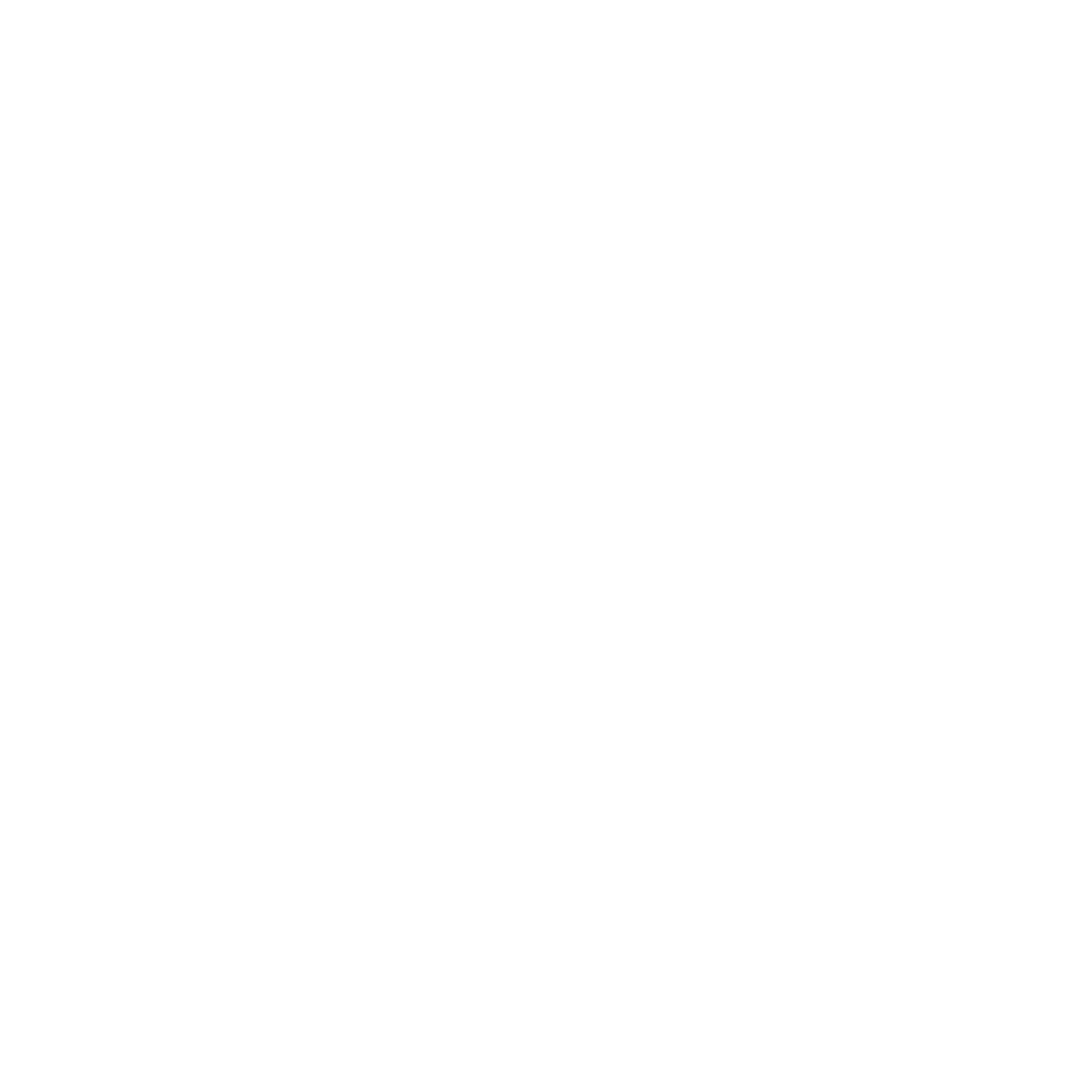 Nanotec Detailing Co